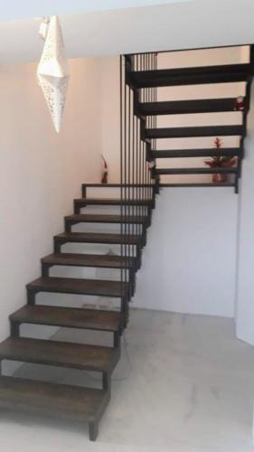 bravarija norma klasicna bravarija27