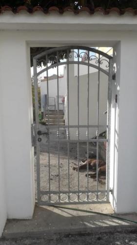 kovane kapije i vrata